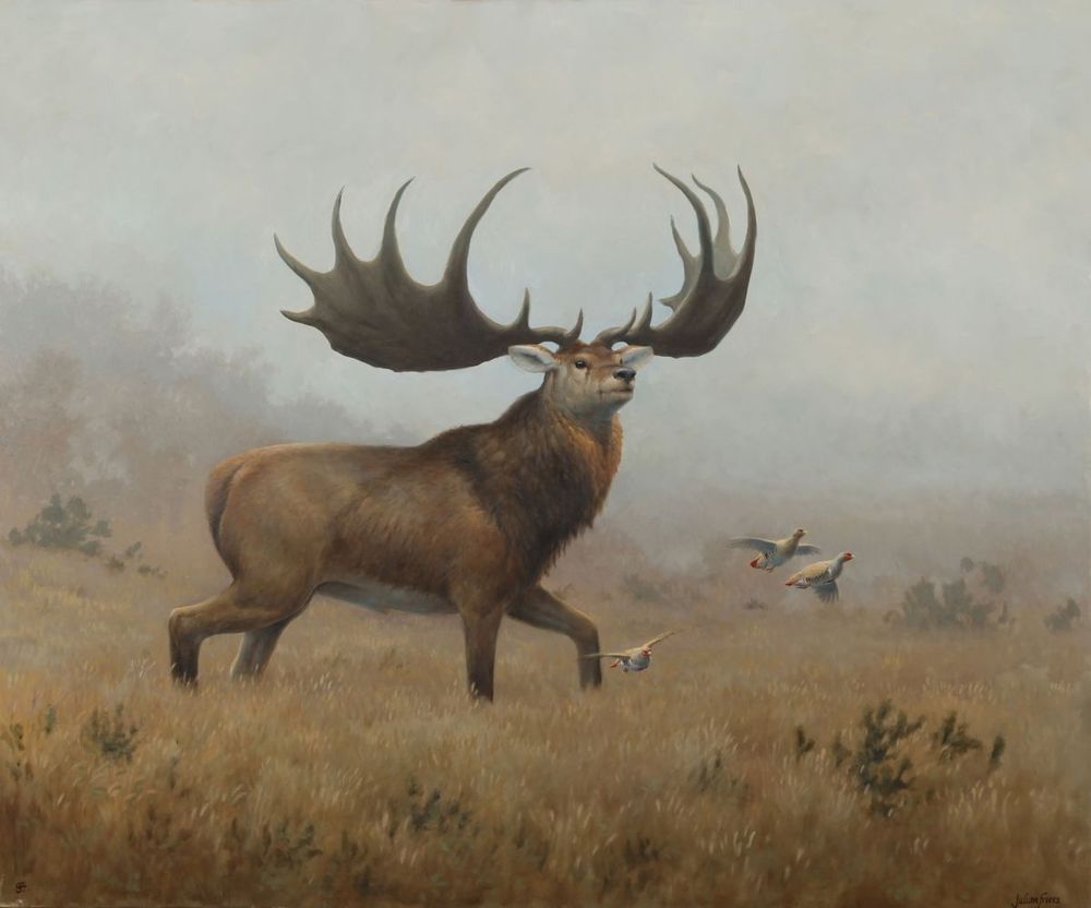 Giant Irish deer in field with birds