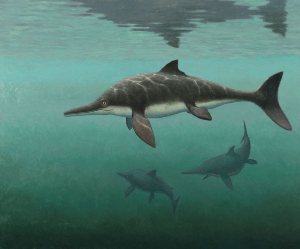 Ichthyosaur underwater