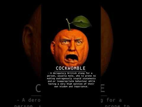 What is a cockwomble? #epstein #fy #fyp #satire #relatable #fdt #fypシ #funny #orange #president