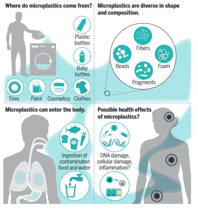 Figure résumant les effets des plastiques sur la santé