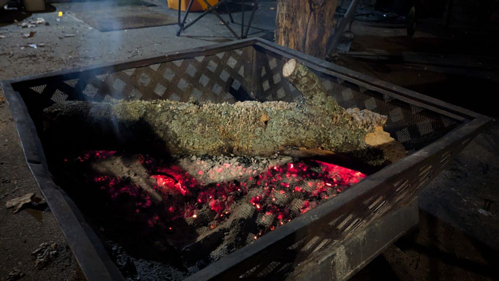 An unknown wood log sitting in embers. Day 1 yulelog.