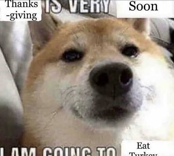 Thanksgiving is very soon I am going to eat turkey 