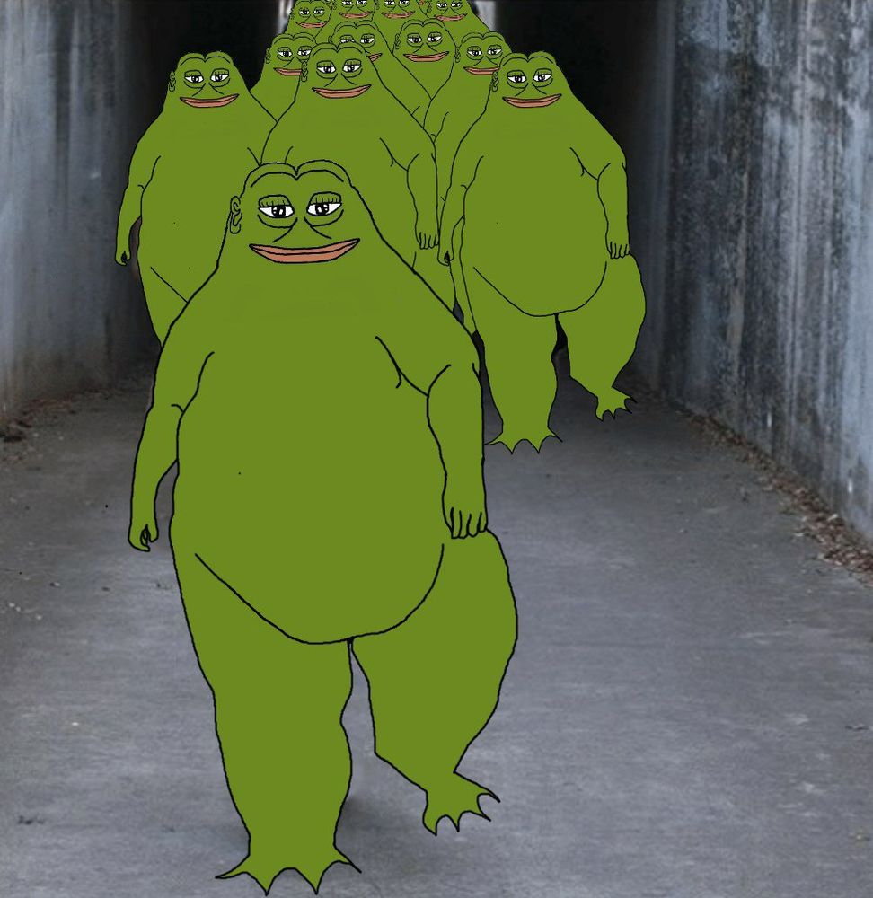Groyper army coming into drainway