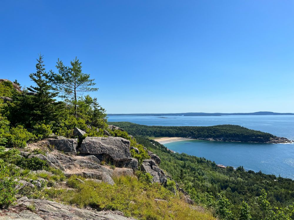 View of blue skies and water from a mountain covered in pine trees and brush
