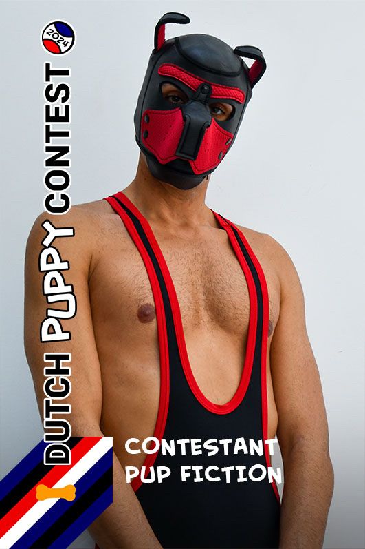 Dutch Puppy Contest 2024, contestant Pup Fiction