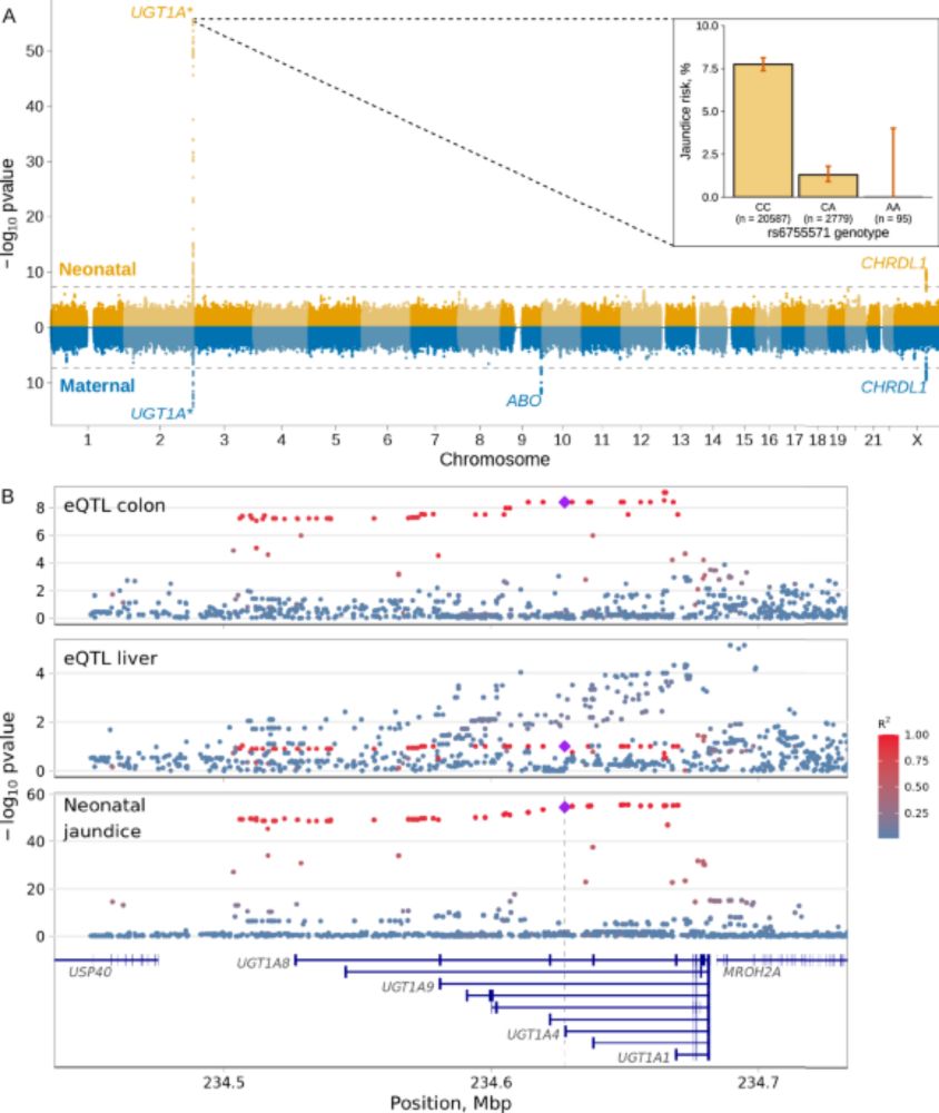 Genome-wide analyses of neonatal jaundice reveal a marked departure from adult bilirubin metabolism - Nature Communications