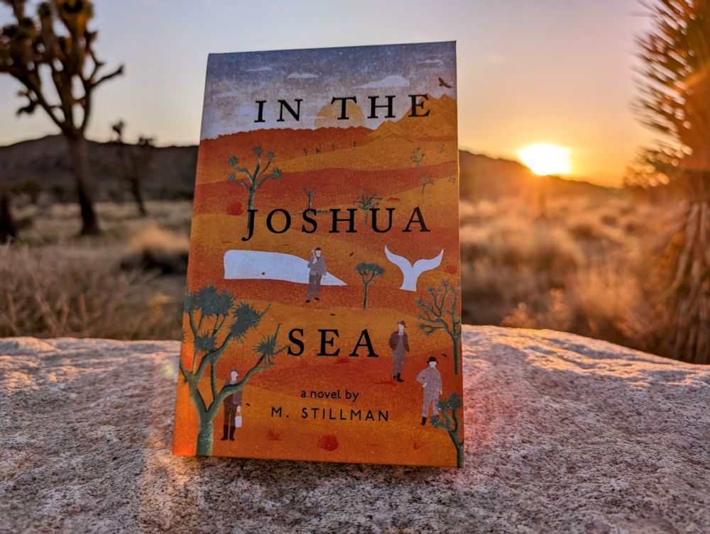 "In the Joshua Sea" a novel by M. Stillman

"A thoughtful historical novel suffused with the natural beauty of the desert." - Kirkus Reviews
