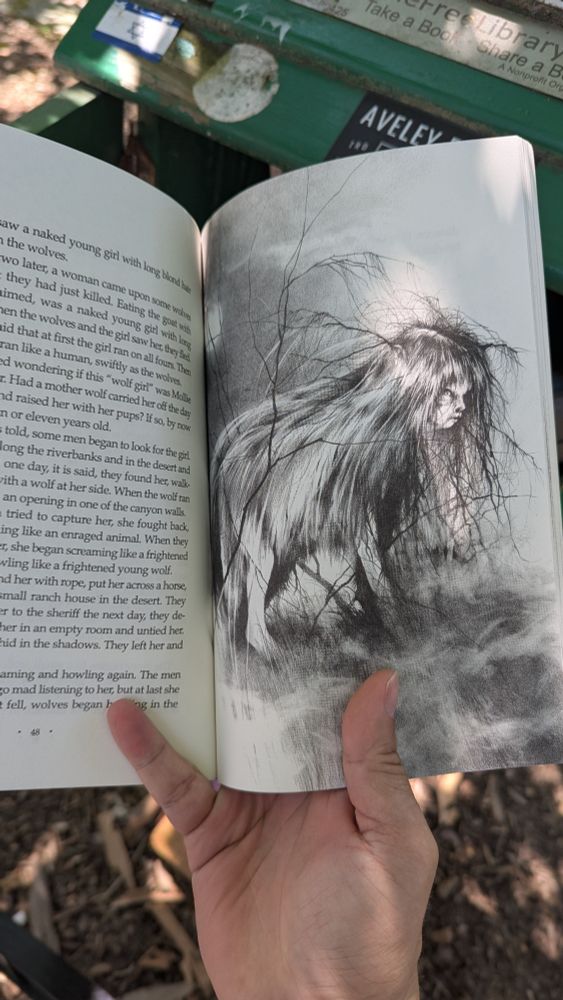 Scary Stories To Tell In The Dark 3 "The Wolf Girl"