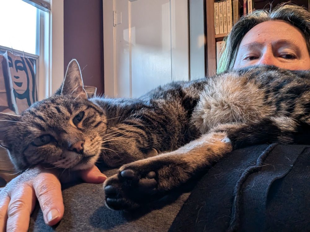 Psycho tabby beast plays ted Bundy for skritches