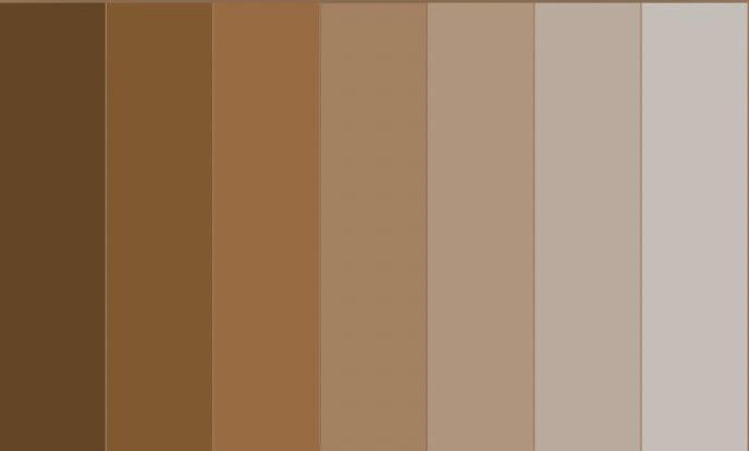 Shades of brown color palette