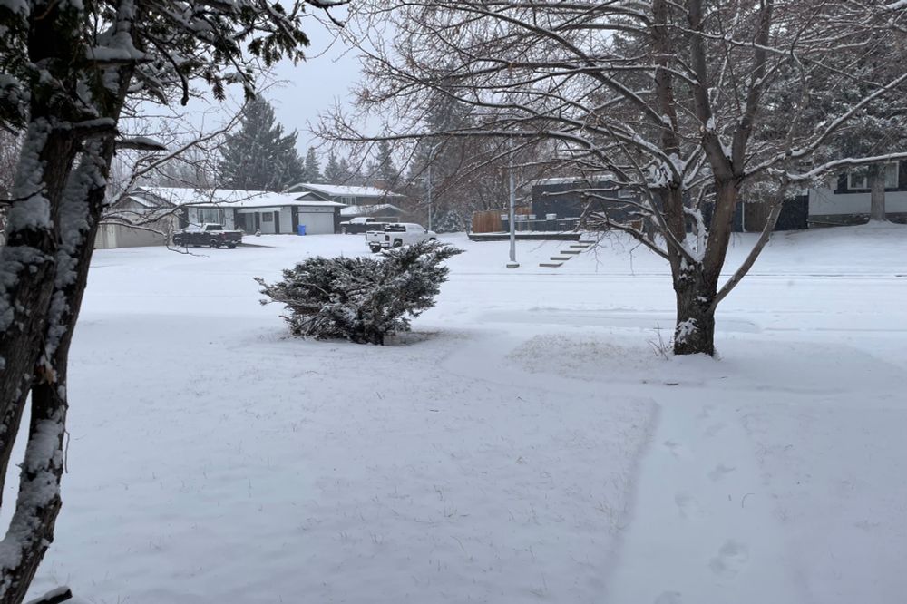 Front yard on a residential street covered in snow