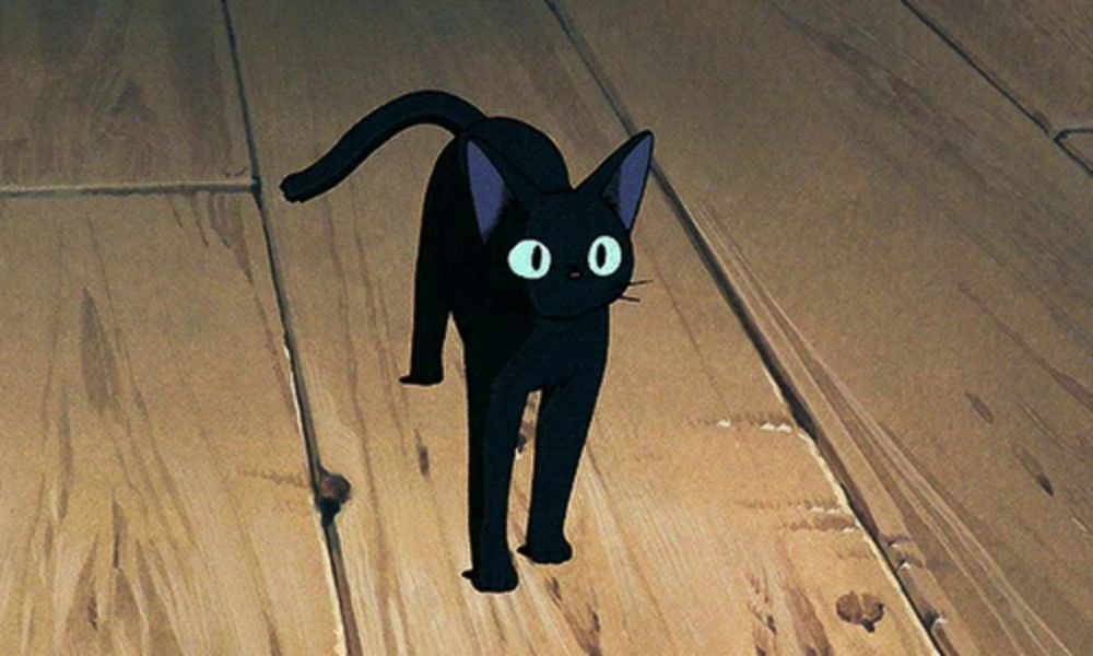 a black cat with white eyes is walking on a wooden surface