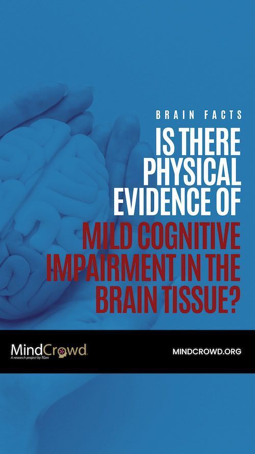 Is There A Treatment for Mild Cognitive Impairment?🤓

No, but one of the most common suggestions is to exercise regularly - as exercise is known to improve brain health.

🏃‍♀️🚴‍♀️🏋 https://mindcrowd.org/what-is-mild-cognitive-impairment/

 #brainhealth #WorkoutWednesday #researchmatters 