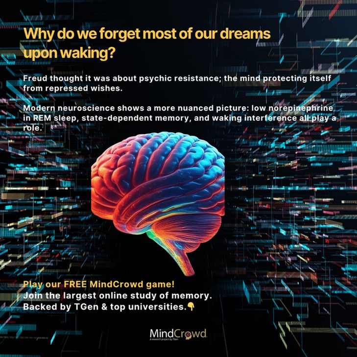 Why do we forget most of our dreams upon waking?

Freud thought it was about psychic resistance; the mind protecting itself from repressed wishes.

Modern neuroscience shows a more nuanced picture: low norepinephrine in REM sleep, state-dependent memory, and waking interference all play a role. 