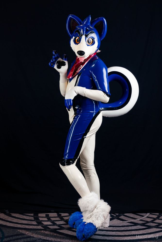 a blue and white husky made of rubber with shiny paws and a squishy inflated face and tail