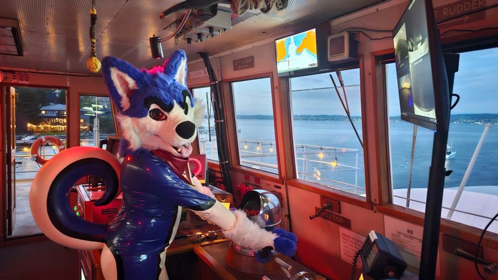 A rubber husky at the controls of a large vessel. Why is he piloting a boat? A very good question