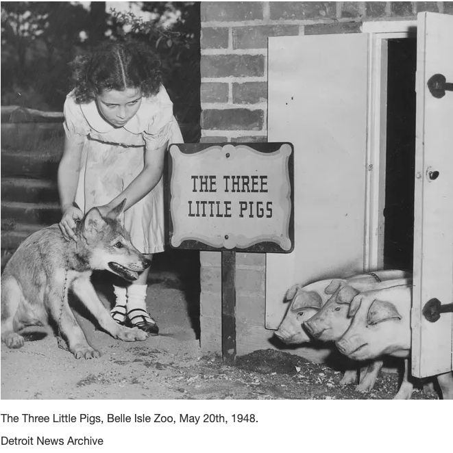 A little girl grabs a wolf puppy by its collar standing next to a sign that says "The Three Little Pigs" with three piglets standing next to it. They are poking their heads out of a small brick house.