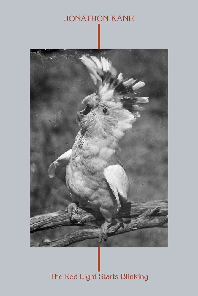 A black and white image of a screaming cockatoo. The words 'Jonathon Kane' are at the top of the image; the words 'The Red Light Starts Blinking' are at thr bottom.