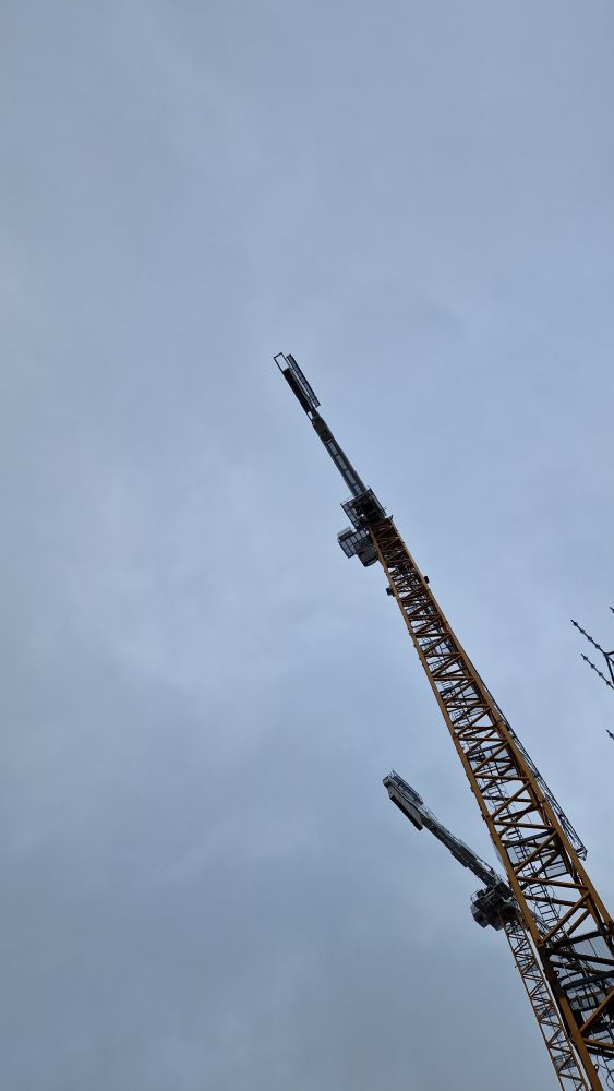 Tower cranes at Marina Depot Cork.