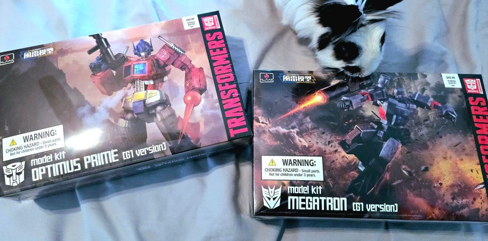 I bought G1 model kits of Optimus and Megatron. There was a 40% discount and I knew I had to buy them ASAP. Plus, my baby girl is a cutie patootie.