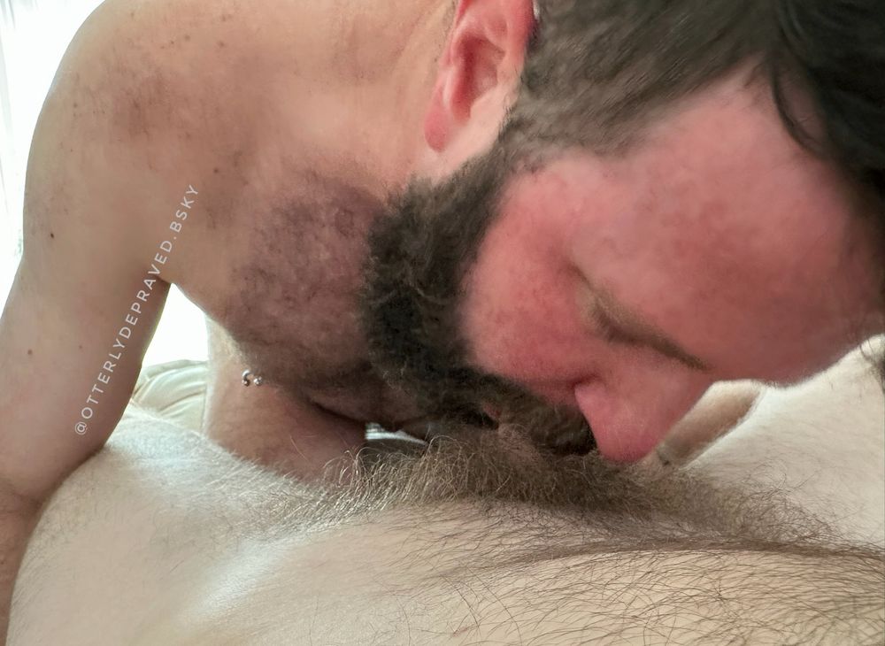 Me, a bearded white dude, kneeling on the bed between my partner's legs sucking his hairy dick. Most of it is in my mouth, just a little bit exposed through his bush. My face is red from the effort and my eyes are closed in pleasure.