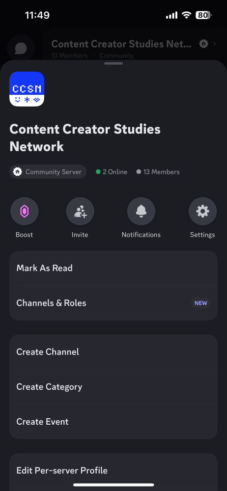 Starter panel for CCSN Discord.