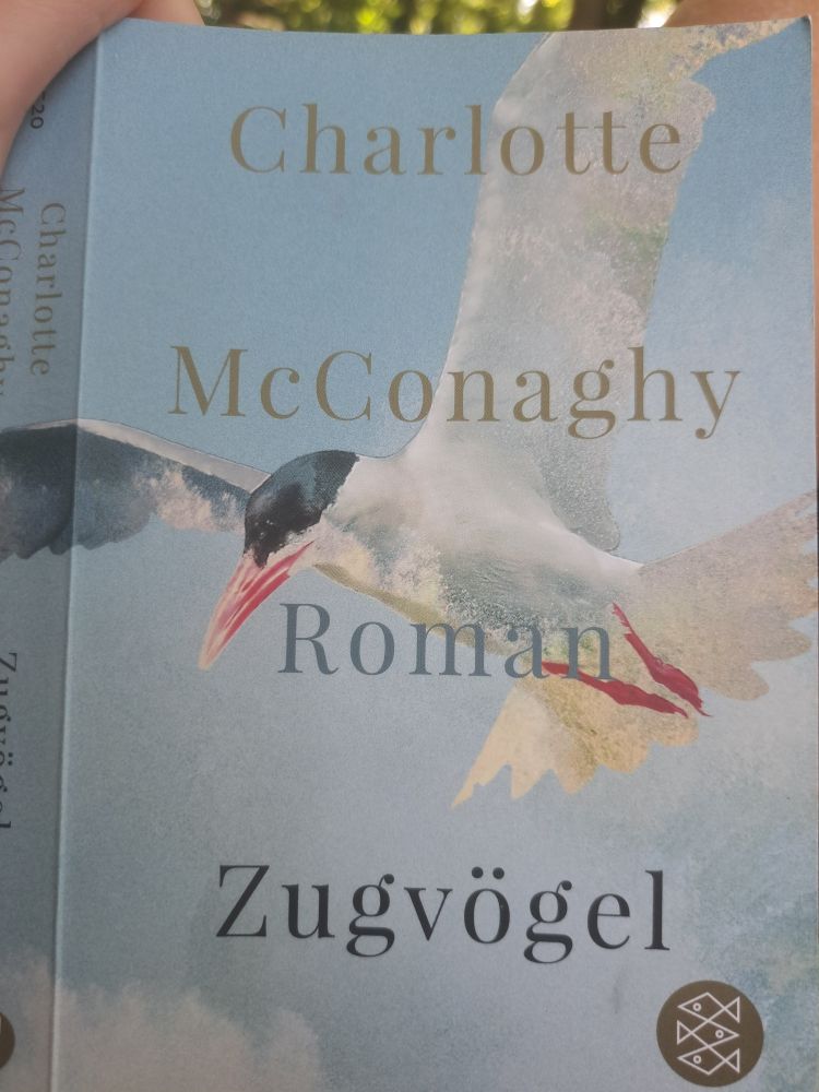 Ein Buchover mit dem Titel Zugvögel von Charlotte McConaghy zeigt das Bild einer Küstenseeschwalbe.