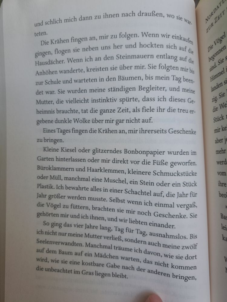 und schlich mich dann zu ihnen nach draußen, wo sie war-
teten.
Die Krähen fingen an, mir zu folgen. Wenn wir einkaufen gingen, flogen sie neben uns her und hockten sich auf die Hausdächer. Wenn ich an den Steinmauern entlang auf die Anhöhen wanderte, kreisten sie über mir. Sie folgten mir bis zur Schule und warteten in den Bäumen, bis mein Tag been- det war. Sie wurden meine ständigen Begleiter, und meine Mutter, die vielleicht instinktiv spürte, dass ich dieses Ge- heimnis brauchte, tat die ganze Zeit, als fiele ihr die treu er- gebene dunkle Wolke über mir gar nicht auf.
Eines Tages fingen die Krähen an, mir ihrerseits Geschenke zu bringen.
Kleine Kiesel oder glitzerndes Bonbonpapier wurden im Garten hinterlassen oder mir direkt vor die Füße geworfen. Büroklammern und Haarklemmen, kleinere Schmuckstücke oder Müll, manchmal eine Muschel, ein Stein oder ein Stück Plastik. Ich bewahrte alles in einer Schachtel auf, die Jahr für Jahr größer werden musste. Selbst wenn ich einmal vergaß, die Vögel zu füttern, brachten sie mir noch Geschenke. Sie So ging gehörten mir und ich ihnen, und wir liebten einander. das vier Jahre lang, Tag für Tag, ausnahmslos. Bis ich nicht nur meine Mutter verließ, sondern auch meine zwölf Seelenverwandten. Manchmal träume ich davon, wie sie dort auf dem Baum auf ein Mädchen warten, das nicht kommen wird, wie sie eine kostbare Gabe nach der anderen bringen,
die unbeachtet im Gras liegen bleibt.
