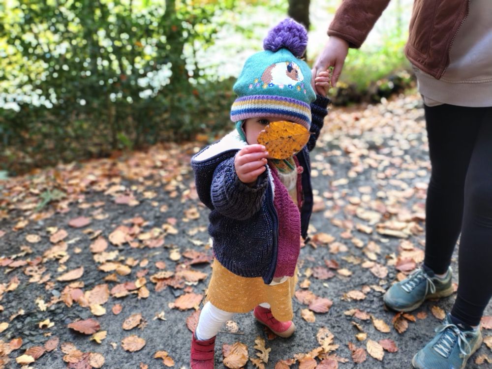 Little Marnie out on a walk wearing her red boots, cosy knitwear and guinea pig pompom hat, holding a fallen leaf in front of her face and also holding my hand