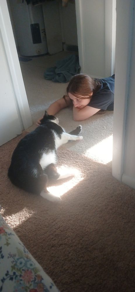 my tuxedo black/white cat laying in a sunbeam on the carpet across from my wife, who is petting his head