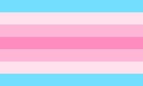 Transfeminine Pride Flag