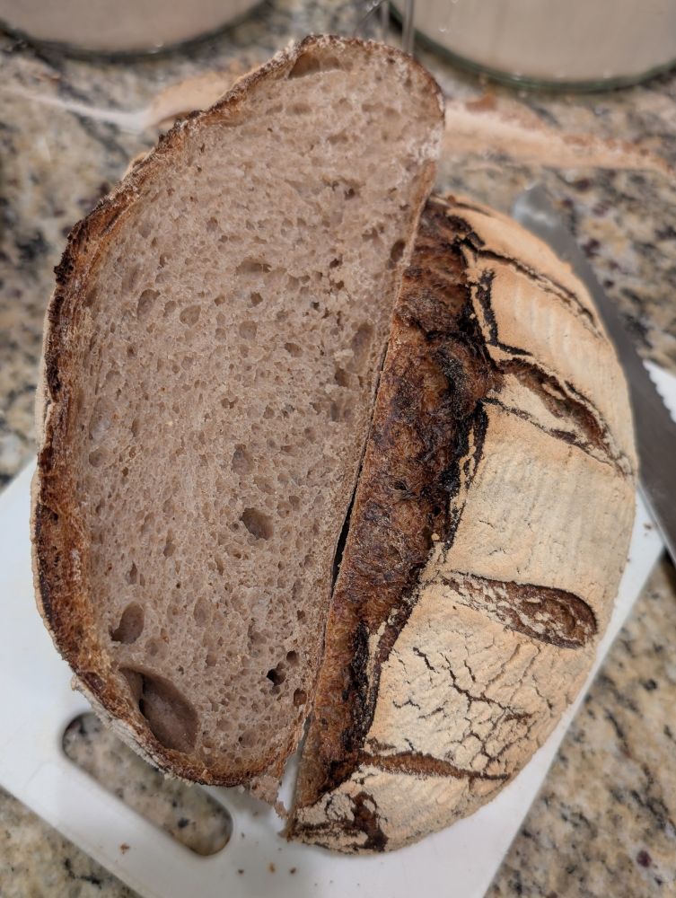 Sourdough bread cut in half. See post text for further description.