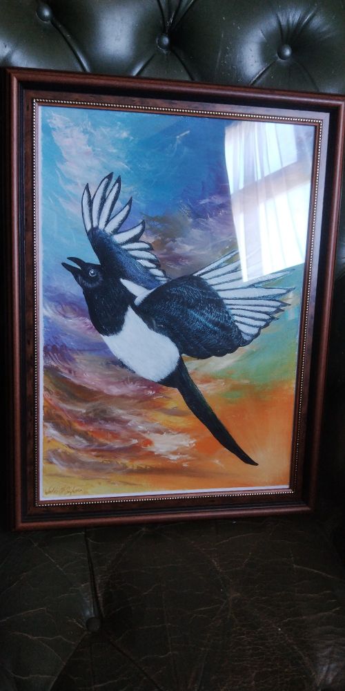 A framed painting of a magpie flying through an early evening sky