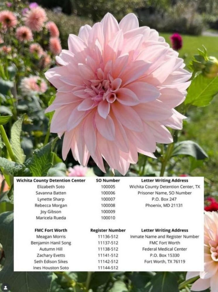 Back ground with a flower with names and id numbers for the letter writing.