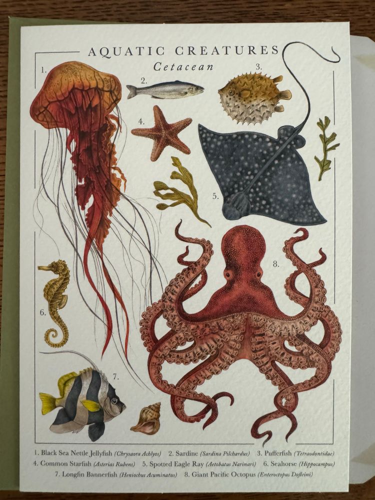 Photo of a card with a vintage scientific illustration art style showing several ocean animals including an eagle ray, an octopus, a jellyfish, a pufferfish, and a seahorse. They’re all labeled with species names at the bottom of the card (some just have genus, or family) and the top of the card reads “Aquatic creatures” and “cetaceans”