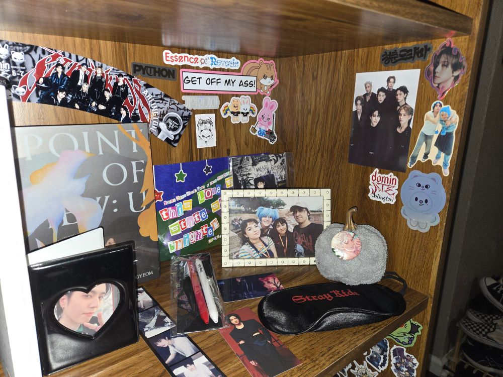 Kpop albums, stickers, charms and mini photo cards binder