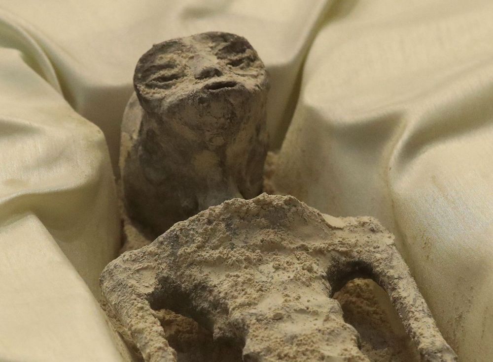 A supposedly real alien mummy 