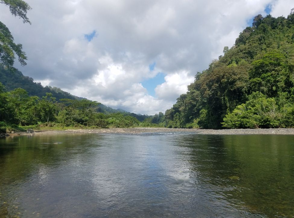 A photo from the bank of the Changuinola River in a hilly area, rainforest on both sides.