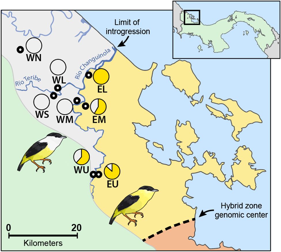 Pie charts on the map show mostly yellow males east of the river and mostly white males west of the river.