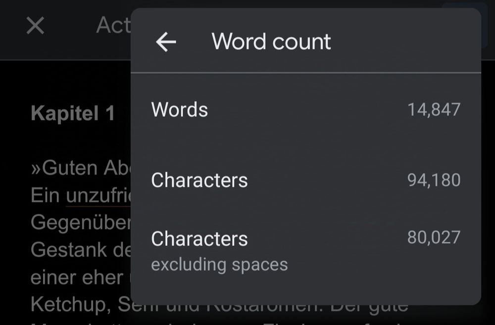 Writing file for a book showing the amount of words (14.847), characters (94.180) and characters excluding spaces (80.027)