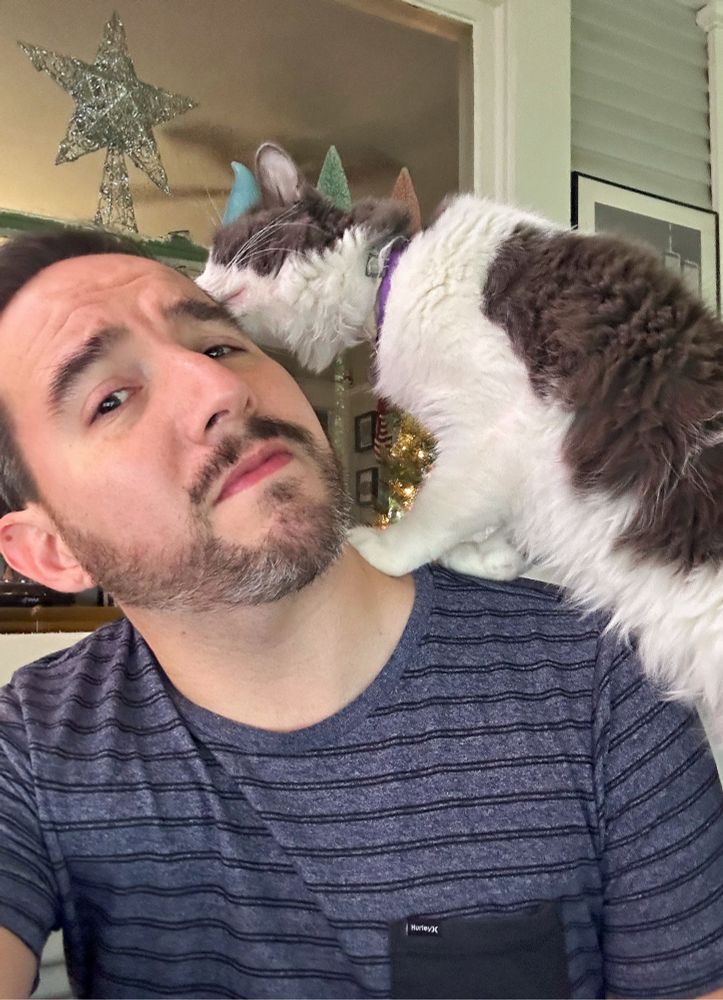Cat on man’s should sniffing his head while he looks uncomfortable because WTF is happening