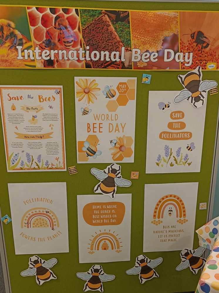 International Bee Day display with colourful posters and cut outs of bees