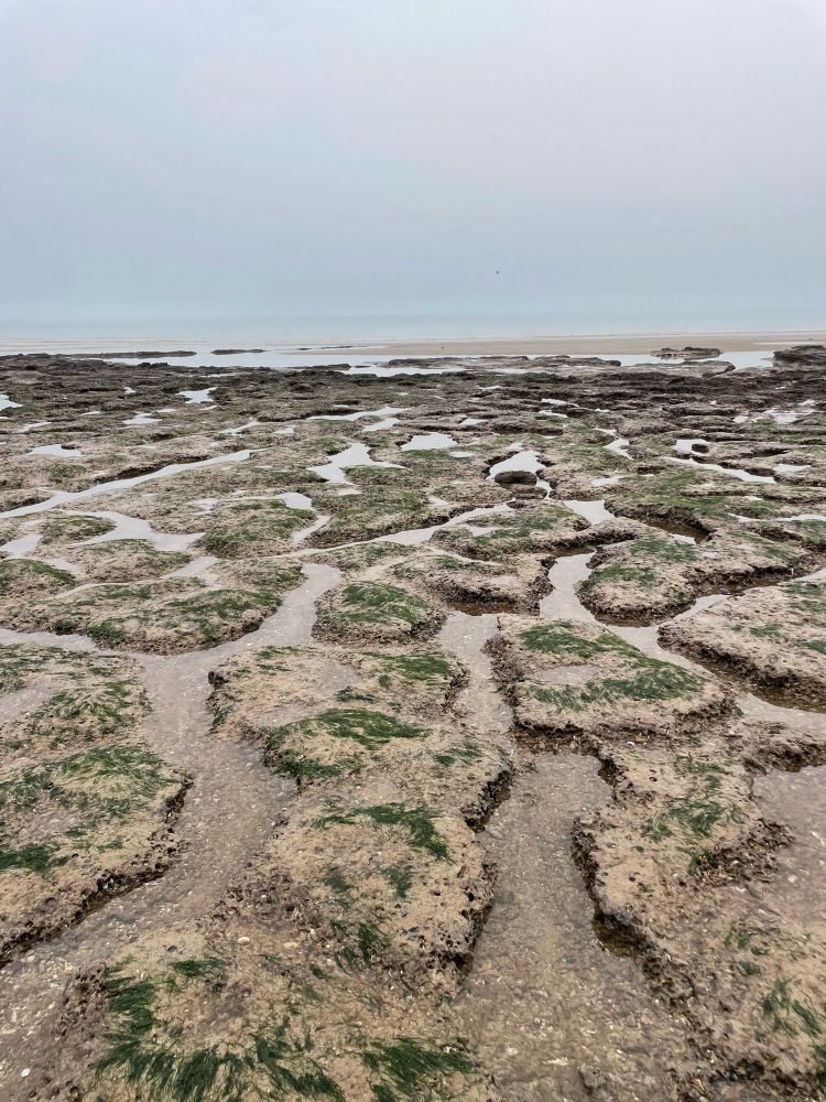 Photo of Pett Level Beach at low tide.