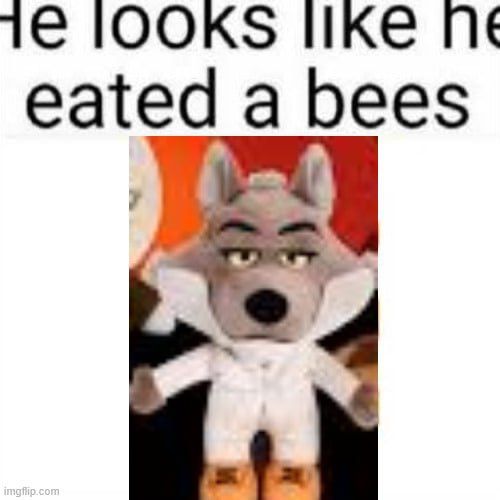 A meme with the text “he looks like he eated a bees” with a photo of the promotional Mr. Wolf plushie for The Bad Guys 2