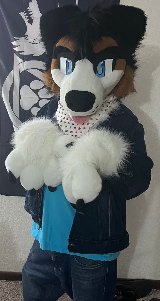 Photo of me wearing my fursuit head and paws, dressed in jeans, a denim jacket, blue shirt, and a bandana