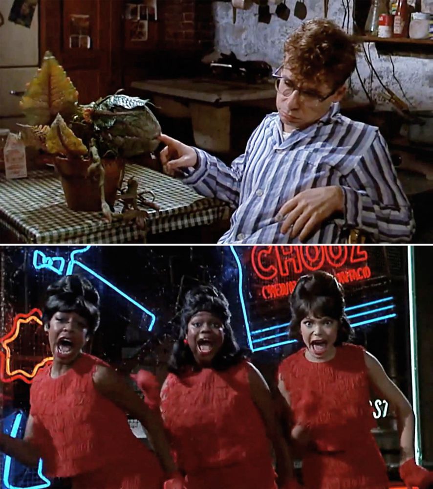 Audrey II going to town on Seymour Krelborn's (Rick Moranis) finger trying to feed on as much blood as possible. Seymour is sitting at his kitchen table, wearing pyjamas. The alien plant is in a clay pot set on the table top. On the rooftop of the building across the way Crystal (Tichina Arnold), Ronette (MIchelle Weeks) and Chiffon (Tisha Campbell) are killling it singing "Some Fun Now".