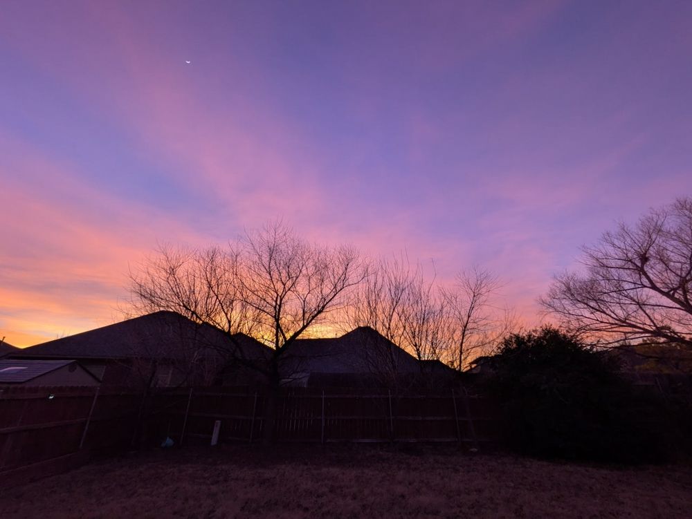 Pinks, oranges, purples, and blues from a setting sun. Some thin clouds. Bare trees and rooftops in the foreground.