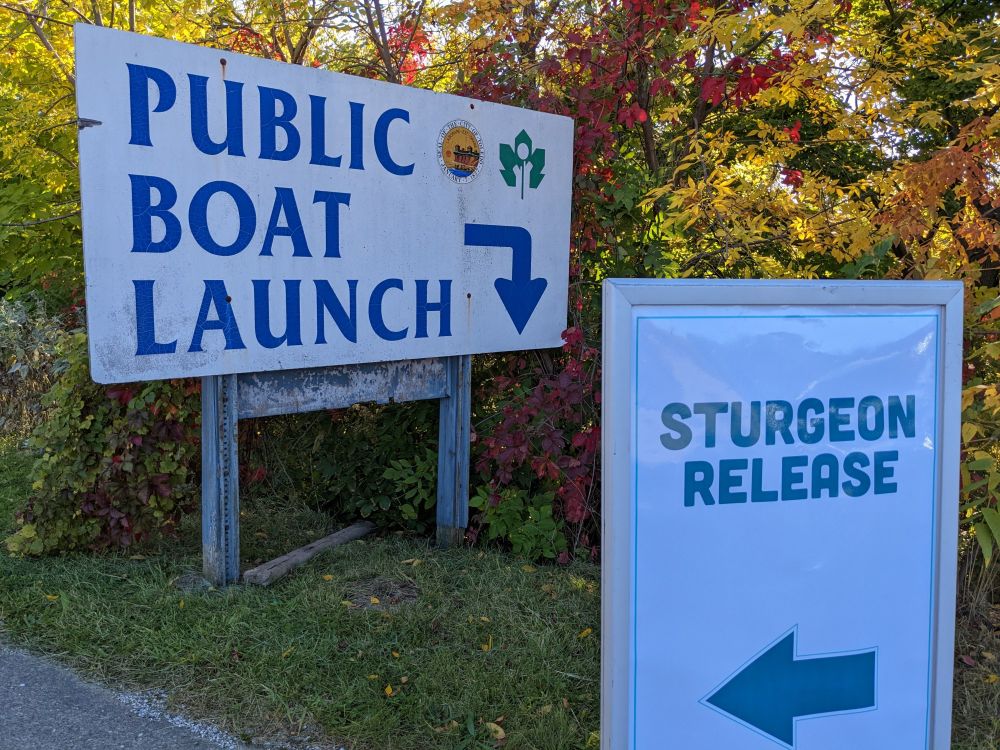 Two signs, one says "Public boat launch" and the other says "sturgeon release"