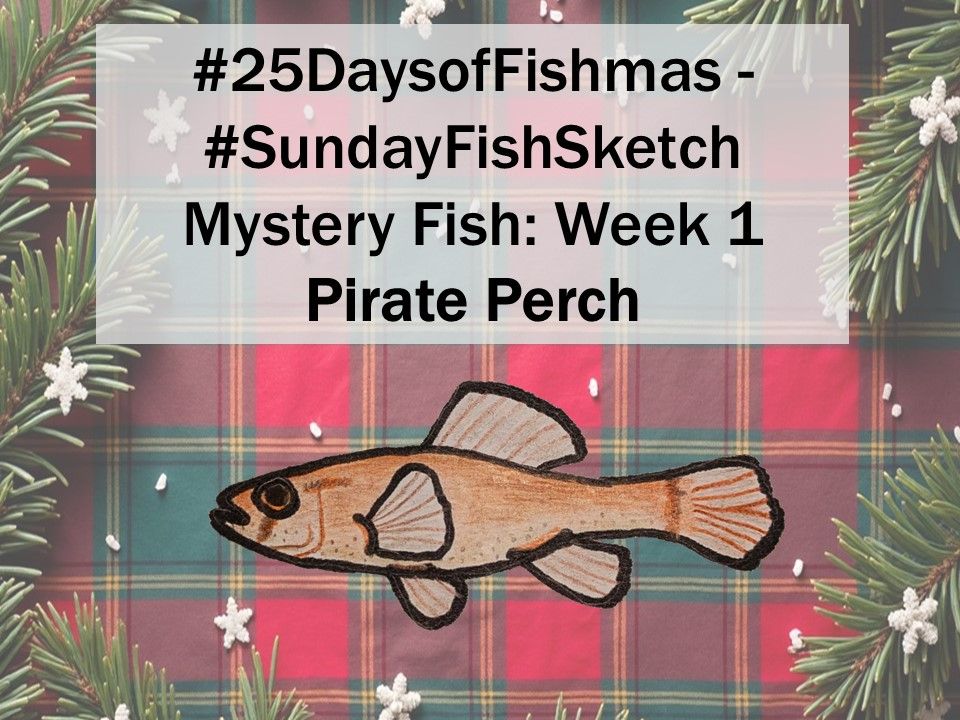 A sketch of a pirate perch
