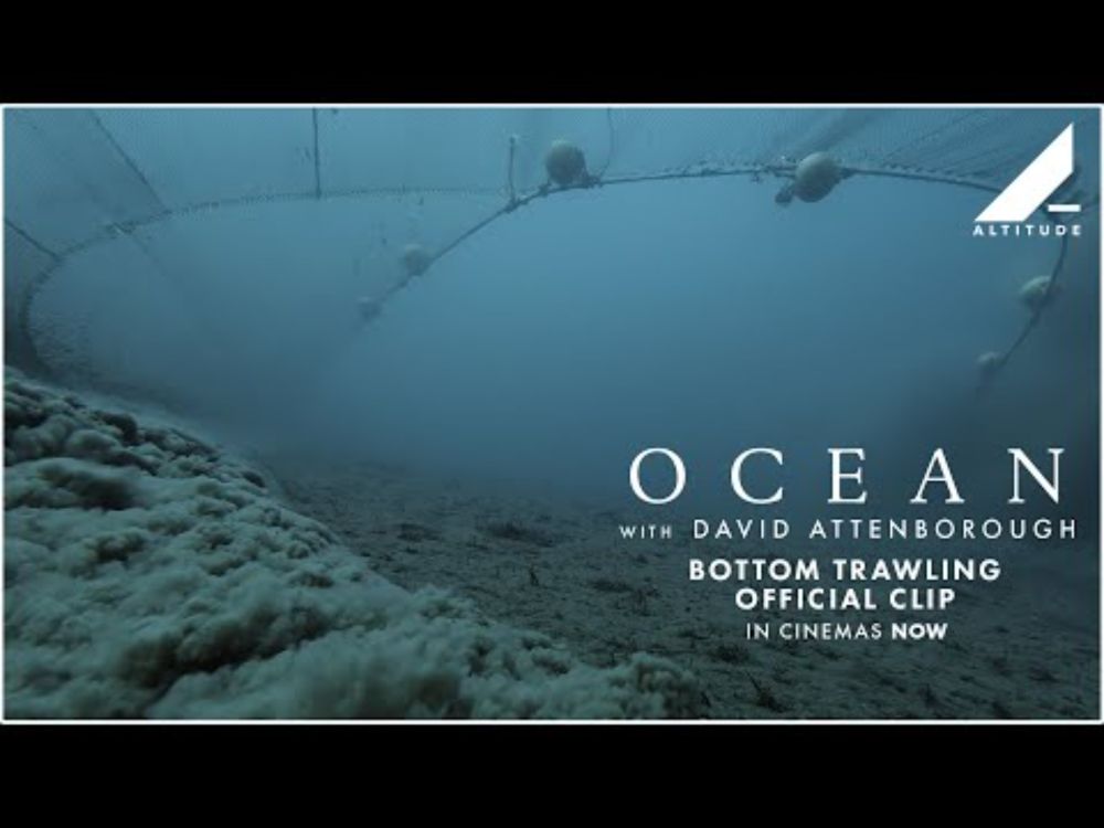 OCEAN WITH DAVID ATTENBOROUGH | BOTTOM TRAWLING OFFICIAL CLIP | IN CINEMAS NOW | Altitude Films